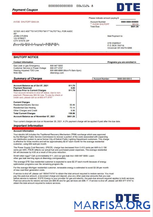 Blank USA Michigan DTE Energy utility bill template in Word and PDF format